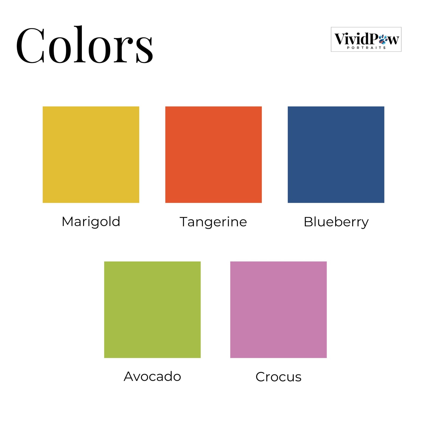 color options for custom dog theme photo socks