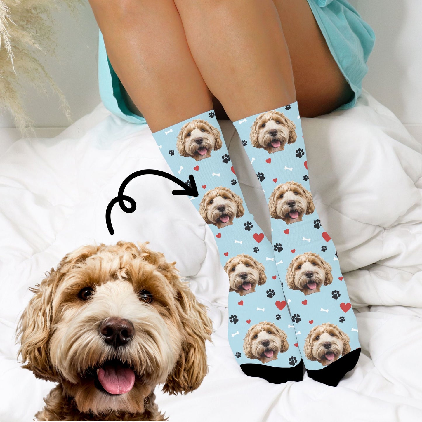 custom dog photo socks in a doggie theme in blue with a dog worn by a woman