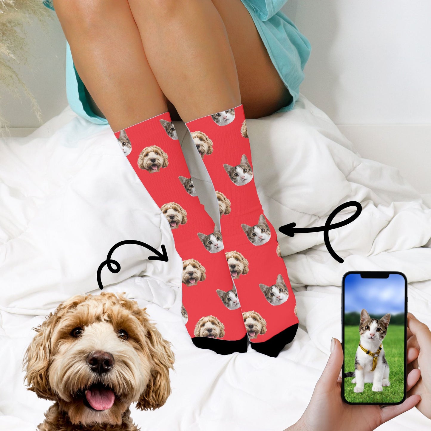 custom pet photo socks with a cat and dog in red